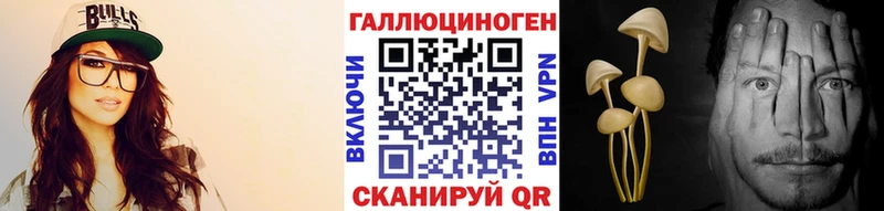 Купить где  Туран  Псилоцибиновые грибы прущие грибы 